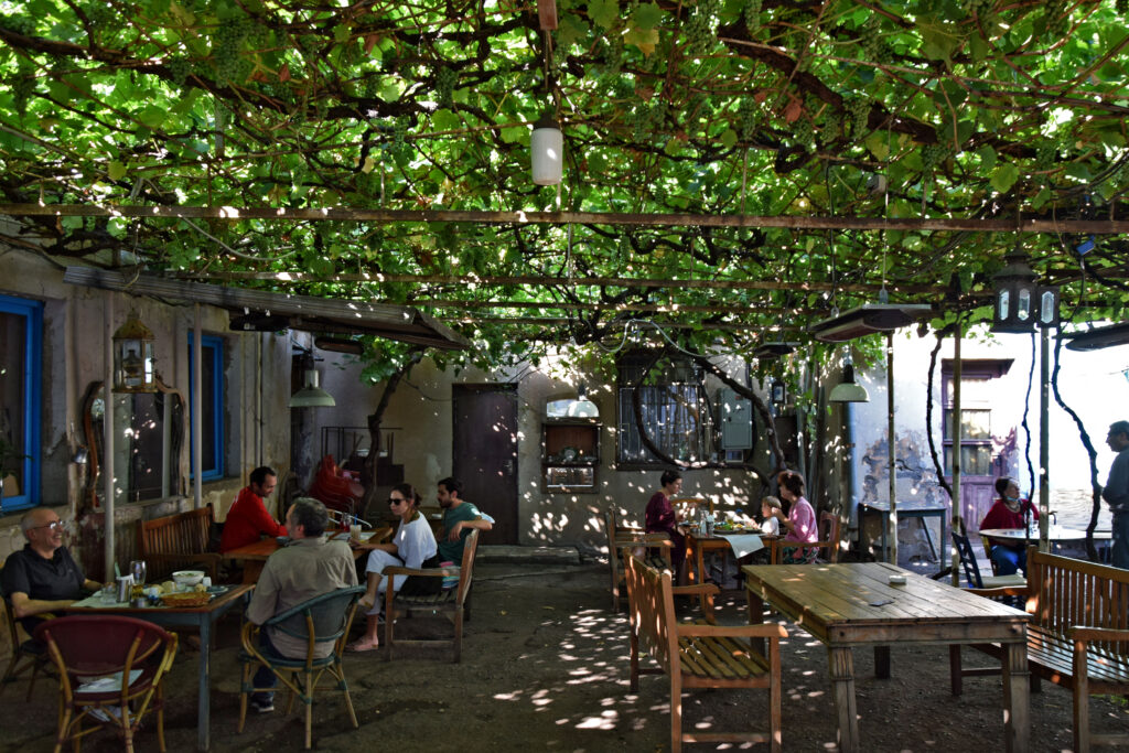 Tbilisi restauracja sofia melnikova. Gdzie zjeść