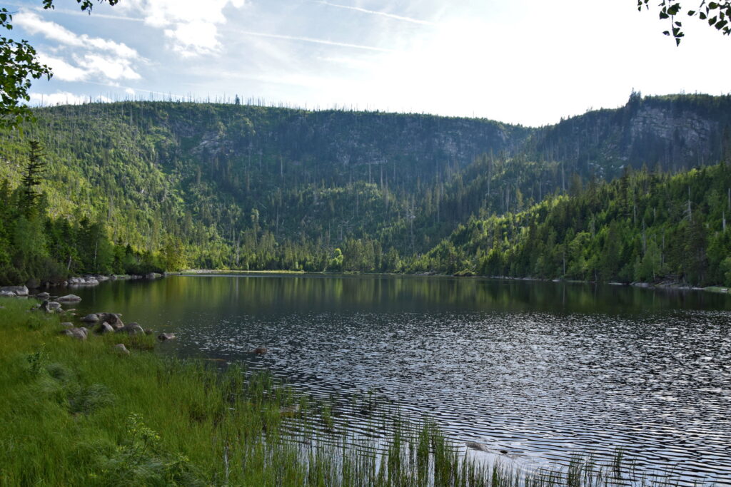 Jezioro Plešné park Szumawa